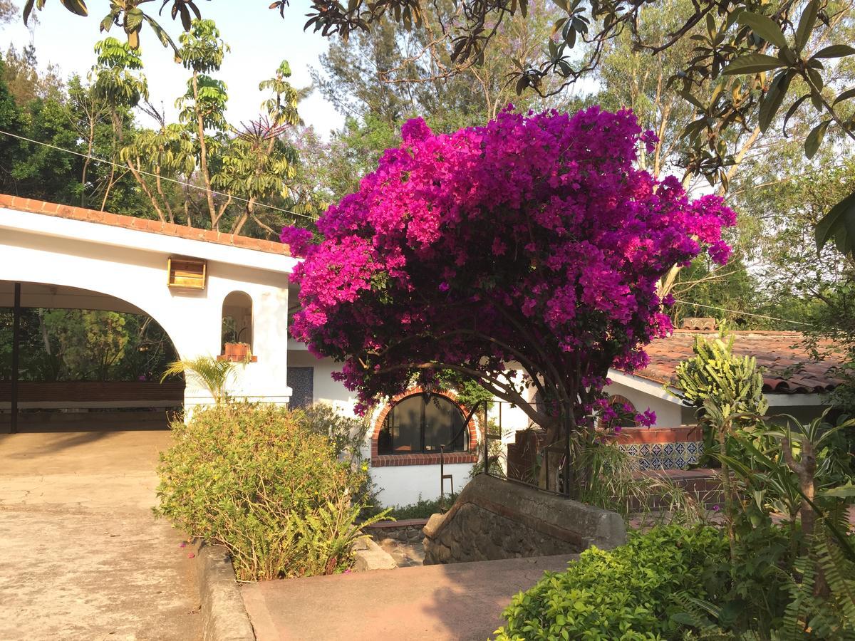 Villas Bellavista เควนาวากา ภายนอก รูปภาพ